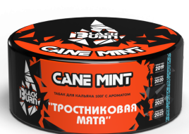 Табак для кальяна BlackBurn CANE MINT, 100 гр